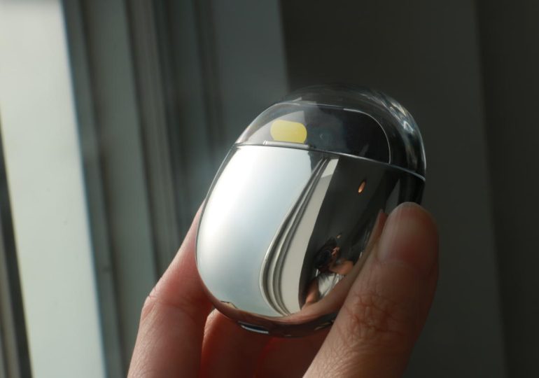 After its reputation went up in flames, Humane warns users its charging case may too