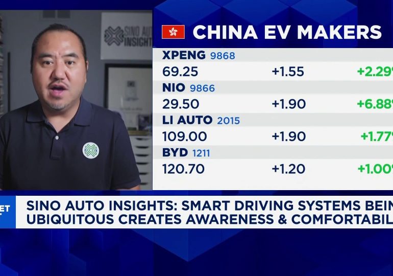 Tesla plans 'friends and family' car service in California, regulator says