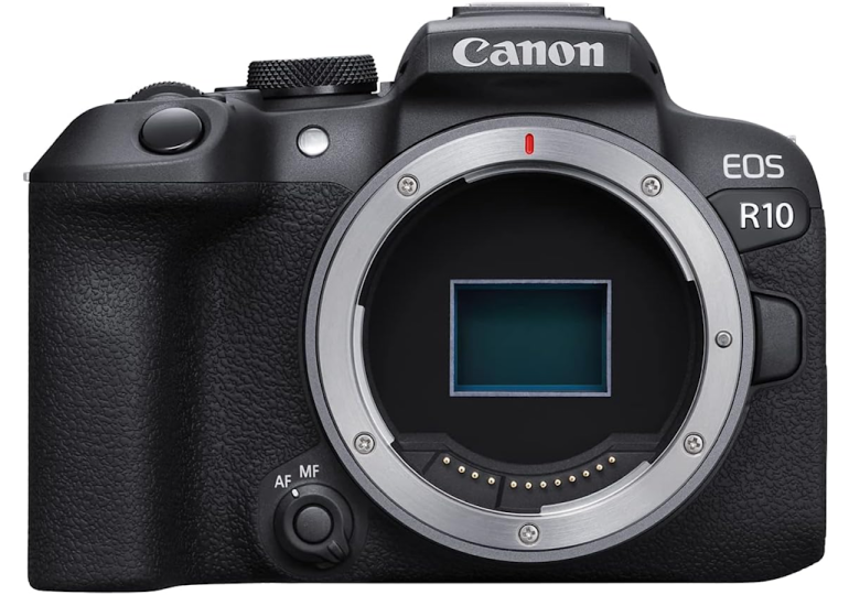 The best cameras for 2026